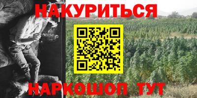 дмт Новодвинск
