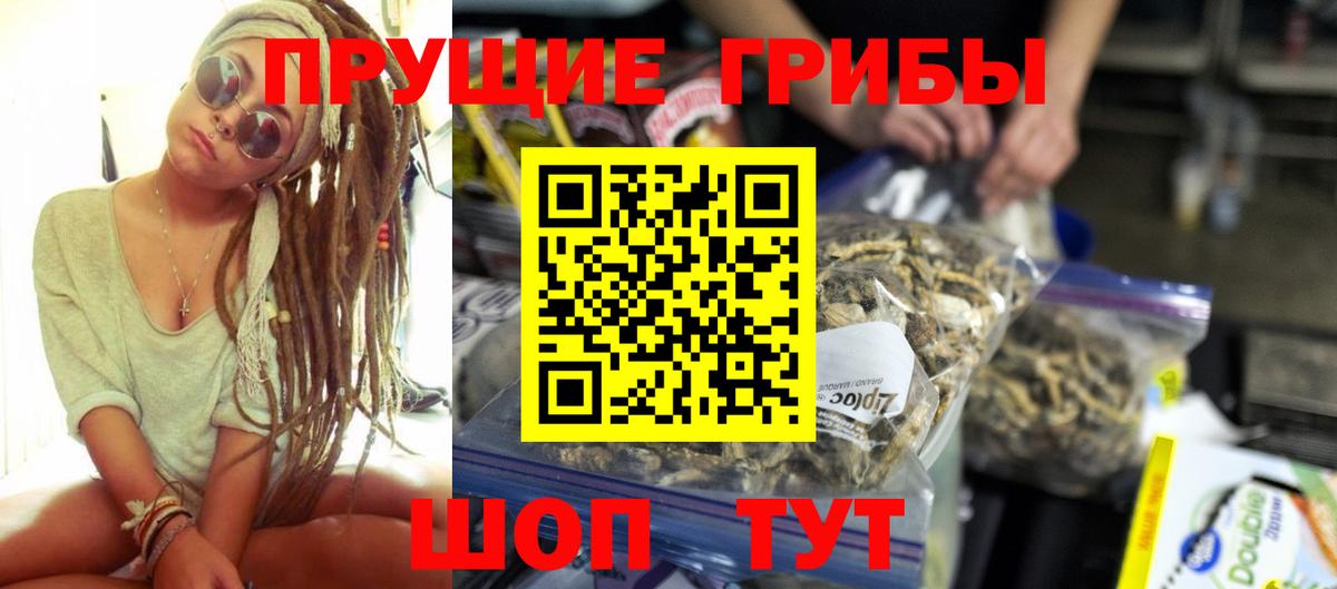 купить наркотики цена  Вход с VPN  Советский  Псилоцибиновые грибы Psilocybe 