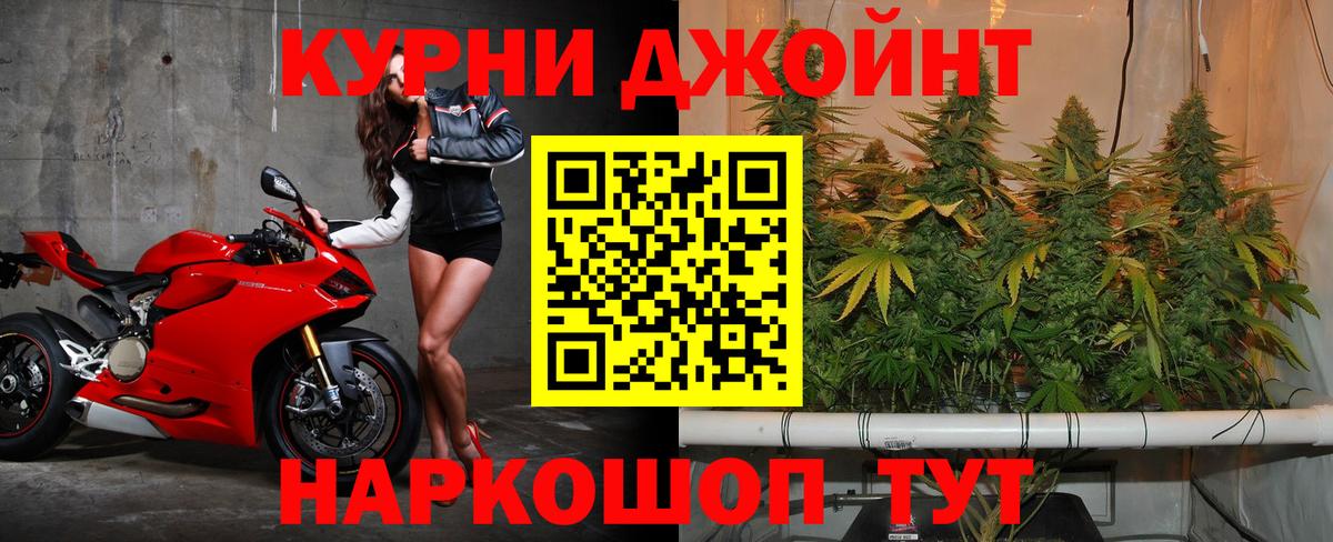 Конопля сатива Советский